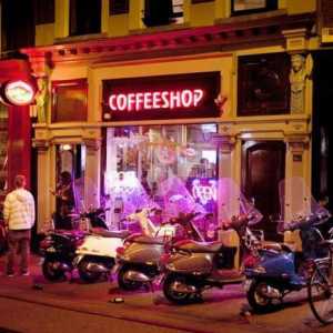 Najbolji coffeeshop u Amsterdamu: upute za početnike, vrste i recenzije