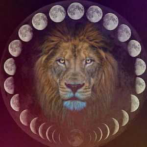 Mjesec u Leu kod muškarca: karakteristike, značajke, kompatibilnost