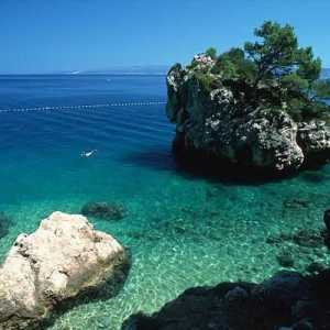 Makarska (Hrvatska): značajka lišća, recenzije gostiju