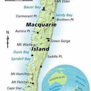 Macquarie je otok u Tihom oceanu. Opis, klima, fotografija