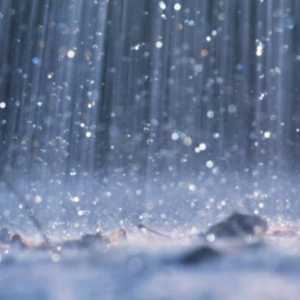 Maksimalna količina padalina padne u kojem dijelu planeta?