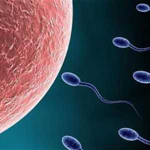 Sperma neaktivna: uzroci i liječenje