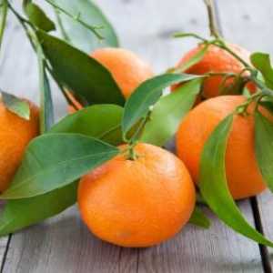 Mandarin nego korisno za tijelo? Sjemenke mandarina: korisna svojstva