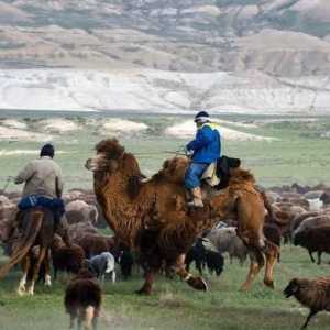 Mangyshlak je poluotok u Kazahstanu. Opis i fotografija