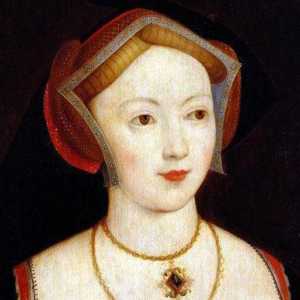 Maria Boleyn: biografija i poznati roman za ljepotu
