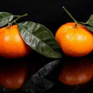 Marokanski mandarinski: opis, svojstva, okus
