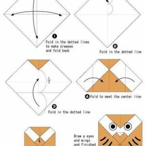 Master-class: kako napraviti origami sova