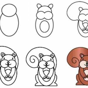 Master-class: kako nacrtati vjeverica u različitim stilovima