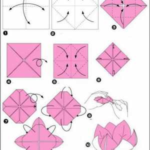 Master klasa, kako napraviti Lotus origami