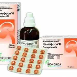 Lijekovi `Kanefron`. Upozorenja za uporabu
