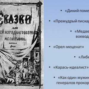 "Medvjed na voivodoblju": analiza priča Saltykov-Shchedrin