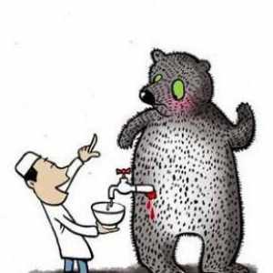 Medvjeđi žuč: recenzije. Medvjeđi žuč s onkologijom