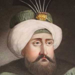 Mehmed IV: devetnaesti sultan Osmanskog carstva