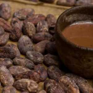 Meksičko drevno nacionalno piće. Povijest čokolade