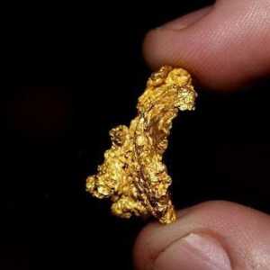 Detektor metala za traženje zlata: modeli, karakteristike, princip rada