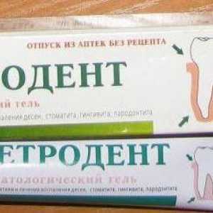 "Metrodent" (gel): upute za uporabu, analozi. Dentalni gel