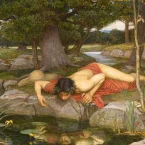 Mit o Narcisu: sažeto i skriveno značenje