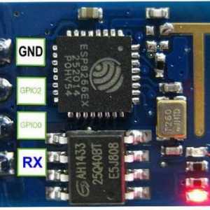 Mikrokontroler ESP8266: povezivanje i postavljanje