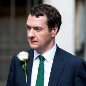 Veleposlanik britanskog ministra financija George Osborne: Biografija, aktivnosti i zanimljive…