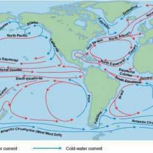 Oceani: proučite oceanske struje