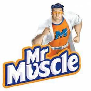 "Mr. Muscle" za naočale: sastav, osobine