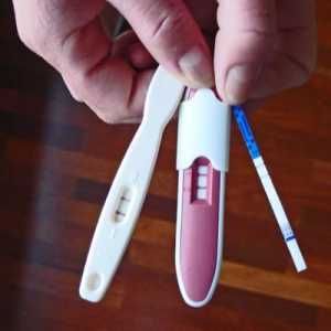 Prepoznatljivi testovi trudnoće - još jedan uspješan korak u digitalnoj tehnologiji
