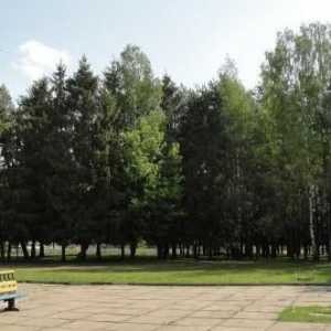 Mogilev, sanatorij `Sosny`: fotografije i recenzije turista