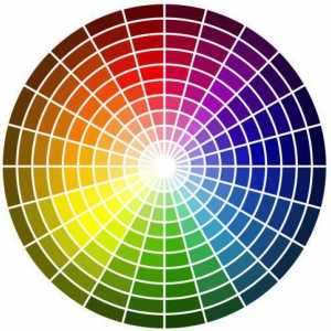 Jednobojne boje. Zakoni kombinacije boja u različitim sferama života.