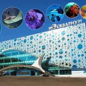 Moskovski oceanarium na VDNKh: opis, raspored rada i izjave posjetitelja