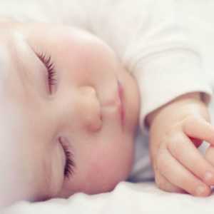 Je li moguće da novorođenče spava na trbuhu nakon hranjenja? Je li moguće da novorođenče spava na…