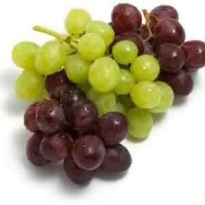 Može li grožđe biti trudno? Mišljenja stručnjaka