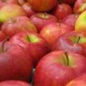 Je li moguće zamrznuti jabuke za zimu, tako da su ukusni i konzervirani vitamini