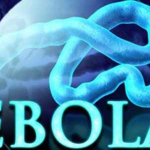 Mogu li dobiti Ebolinu groznicu kroz banane i ostale uvezene proizvode?