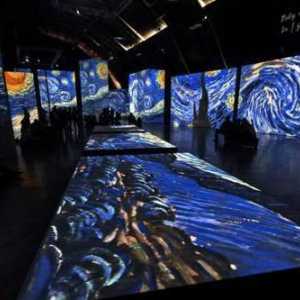 Multimedijalna izložba `Živa platna Van Goga`: značajke, svjedočanstva posjetitelja