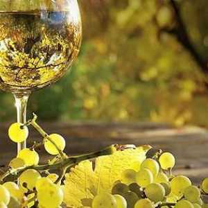 Muscat vino - opis, vrsta, karakteristike i recenzije