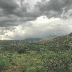 Monsuna klima: značajke i zemljopis