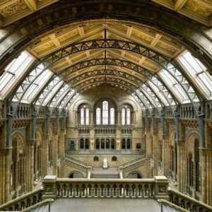 Prirodoslovni muzej (London): povijest stvaranja, zona, izložbe