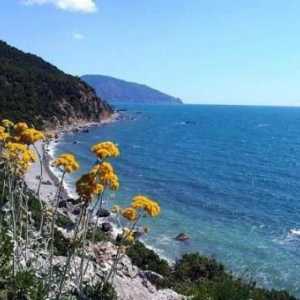 Rt Martyan - prirodni rezervat južne obale Krima. Fotografije i recenzije turista.