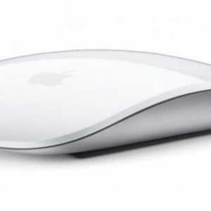 Miš Apple Magic Mouse: recenzije. Kako povezati Apple Magic miš?