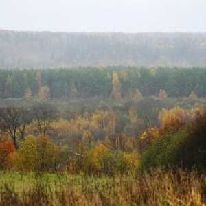 Nacionalni park Valdai: opis