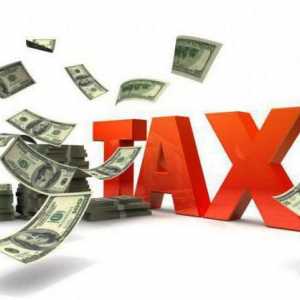 Što su porezne vlasti? Odgovornosti, aktivnosti