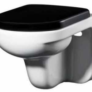 Vanjski WC Gustavsberg ARTic 4310: opis i mišljenja. Ocjena WC školjki