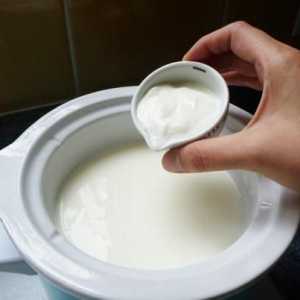 `Narine` (kvasac): upute za uporabu laktobacila kod kuće