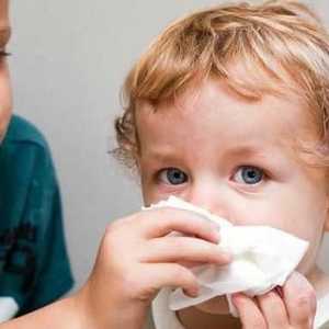 Folk lijekovi za djecu od prehlade. Liječenje hladnoće kod djece kod kuće s narodnim lijekovima