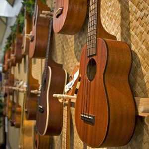 Postavljanje ukulele: sve pojedinosti