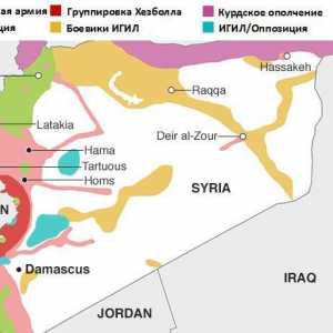 Ofenziva sirijske vojske. Posebne operacije u Siriji
