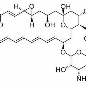 "Natamycin": upute za uporabu. Mast, supozitorije i tablete "Natamycin"