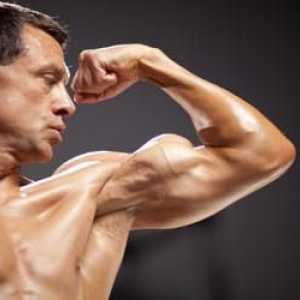 Prirodna bodybuilding: mišići bez steroida. Program osposobljavanja