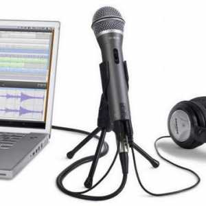 Slušalice za prijenosno računalo s mikrofonom: izbor, opis, karakteristike