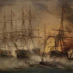 Navarino bitka. Velika pomorska bitka iz 1827. rezultati